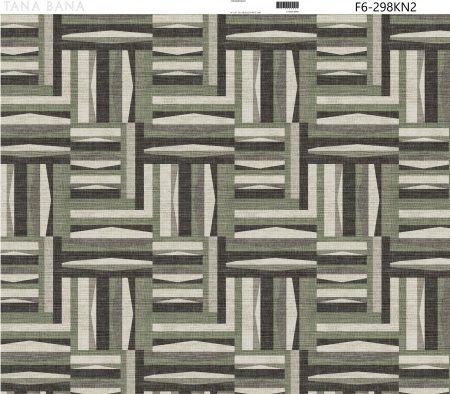 F6-298KN2