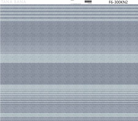 F6-300KN2