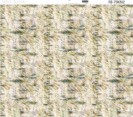F8-79KN2
