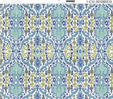 1-C12-301DBSS10