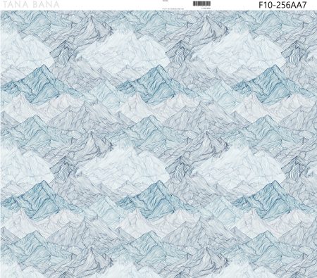 F10-256AA7