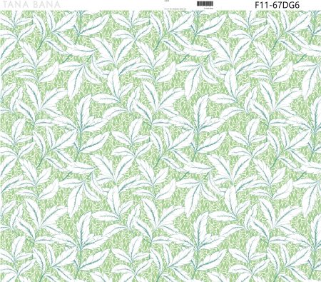 F11-67DG6